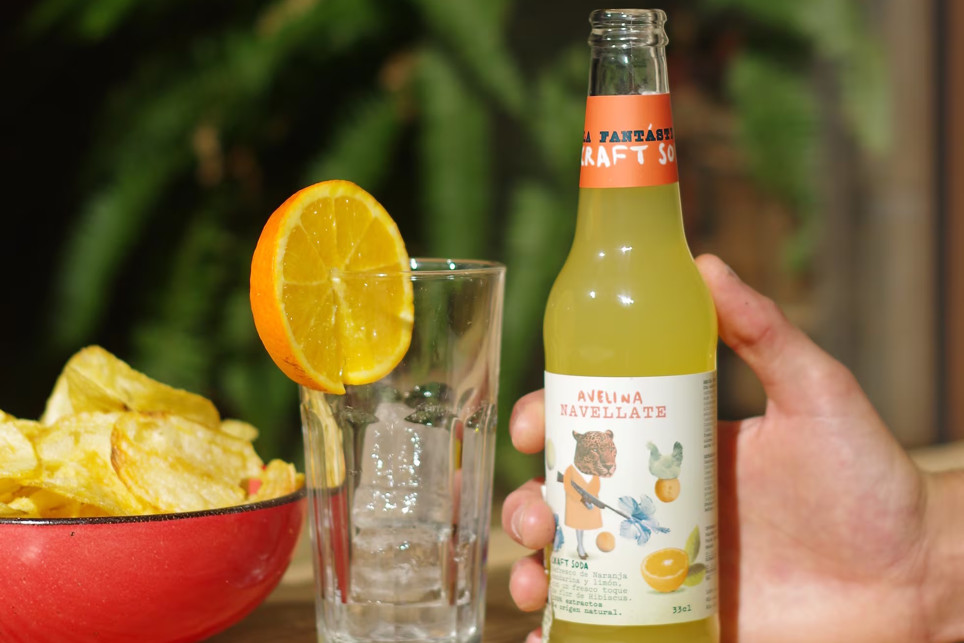 Gaseosas Artesanales