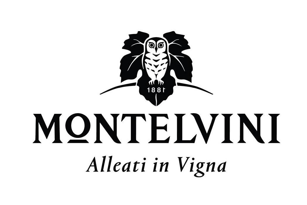 Prosecco – Montelvini DOC Treviso Extra Dry